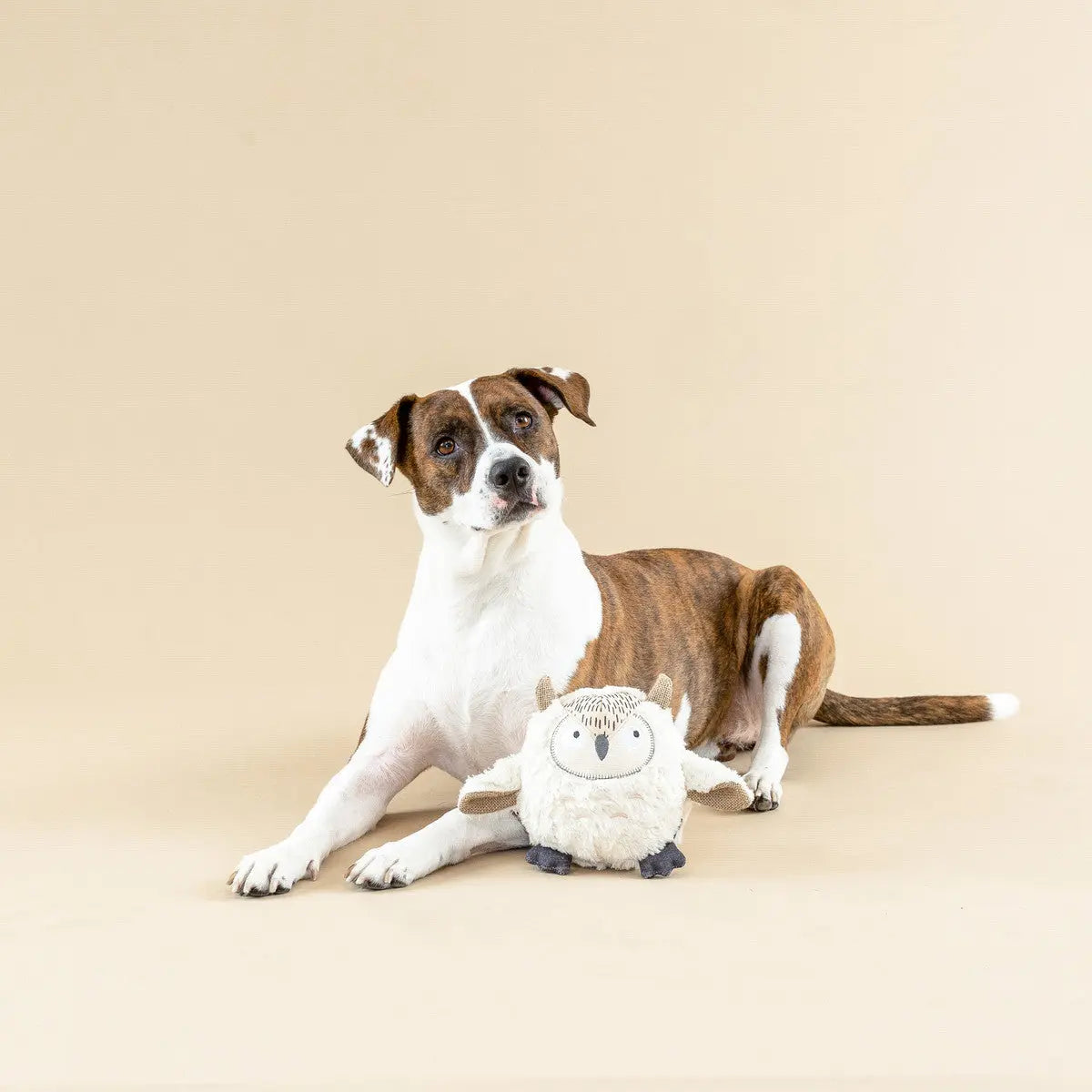 PetShop by Fringe Studio Whoooo's There? Earth Friendly Dog Toy PetShop by Fringe Studio