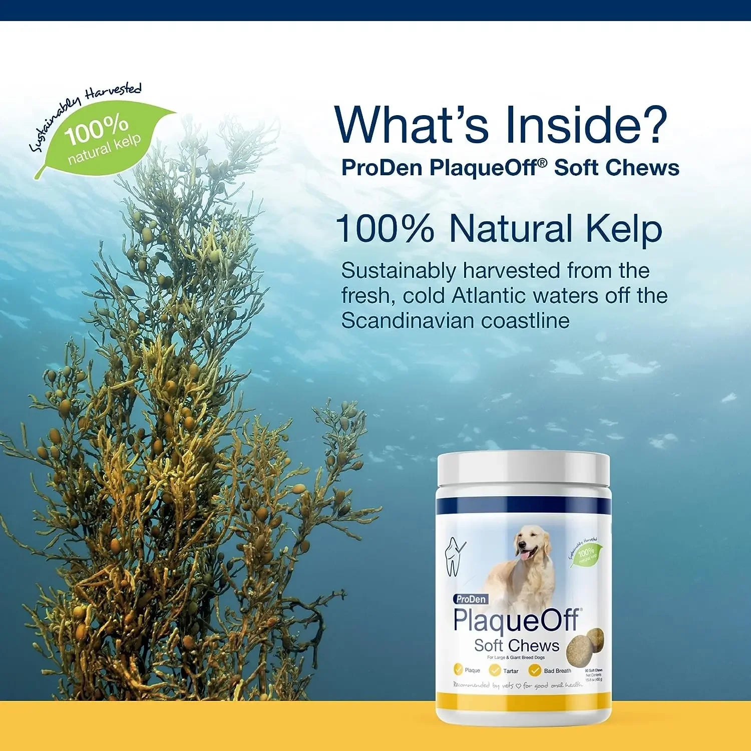 PlaqueOff Soft Chews Large Breed Dogs PlaqueOff