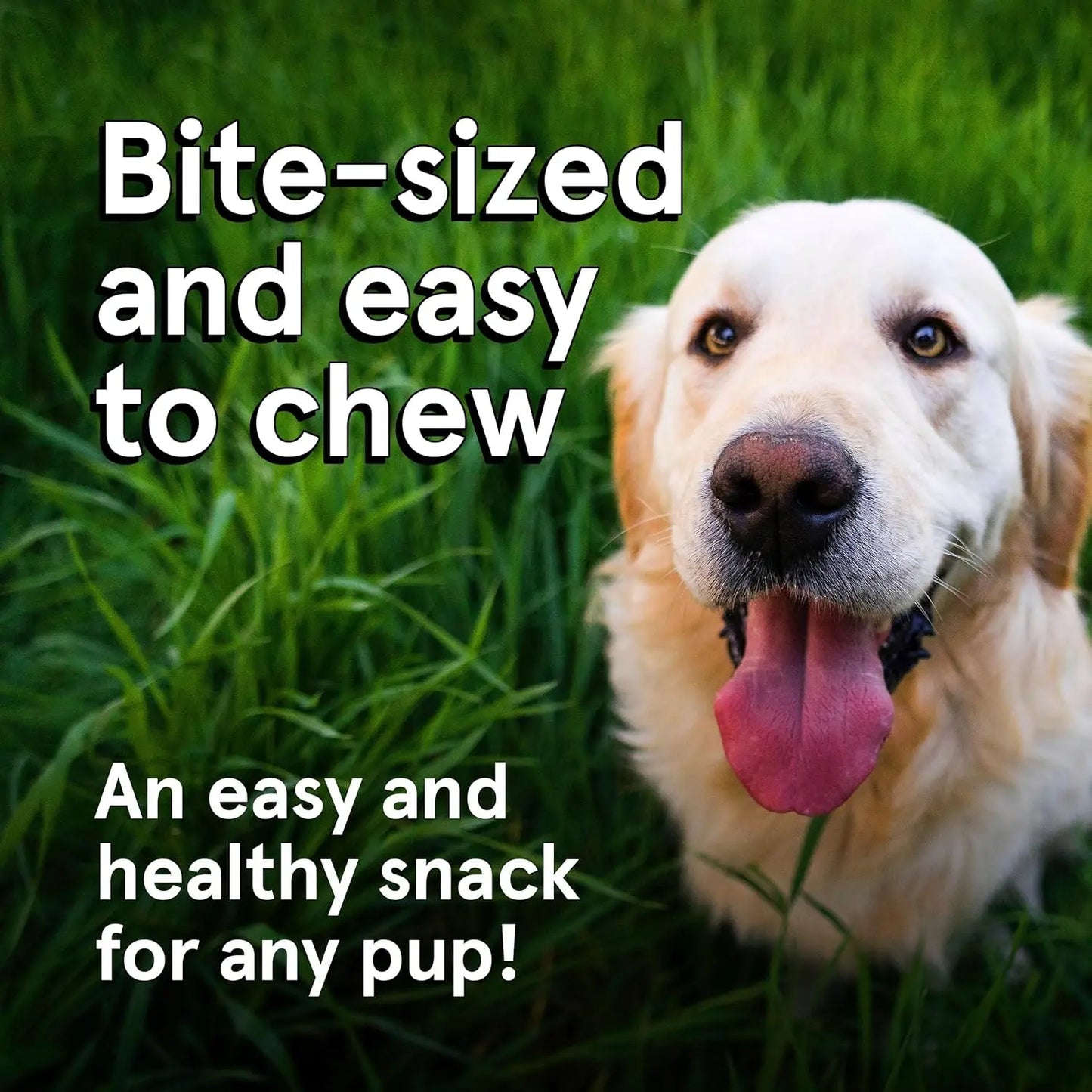 A happy golden retriever sits in tall green grass, tongue out. Text reads: Real Meat® Lamb & Lamb Liver Jerky Dog Treat—bite-sized, easy to chew, and a healthy snack made with real meat for any pup!.