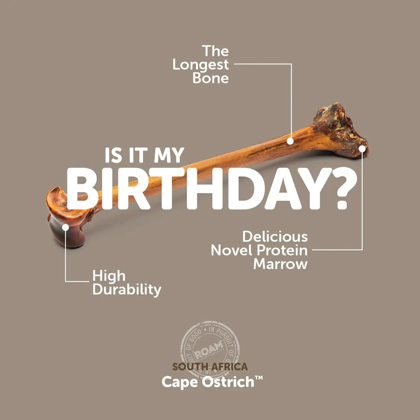 Roam Pet Treats Forever Bone Long Lasting Ostrich Dog Bone Roam