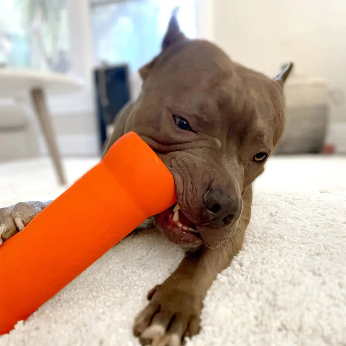 Ruff Dawg Crinkit Rubber & Water-Bottle Tough Dog Toy Ruff Dawg