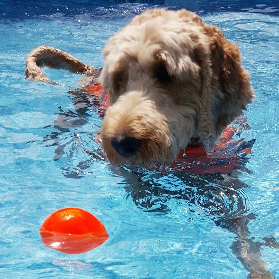 Ruff Dawg, Ball Tough Dog Chew Toy Ruff Dawg