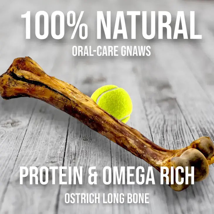 Savannah Ostrich Long Bone Single Ingredient Novel Protein Dog Treat Savannah Pet Food