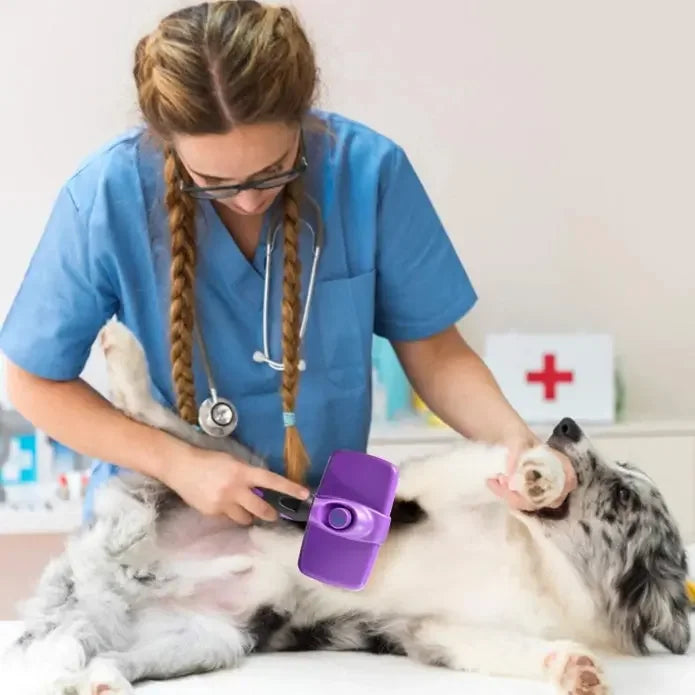 Self Cleaning Grooming Brush Katziela