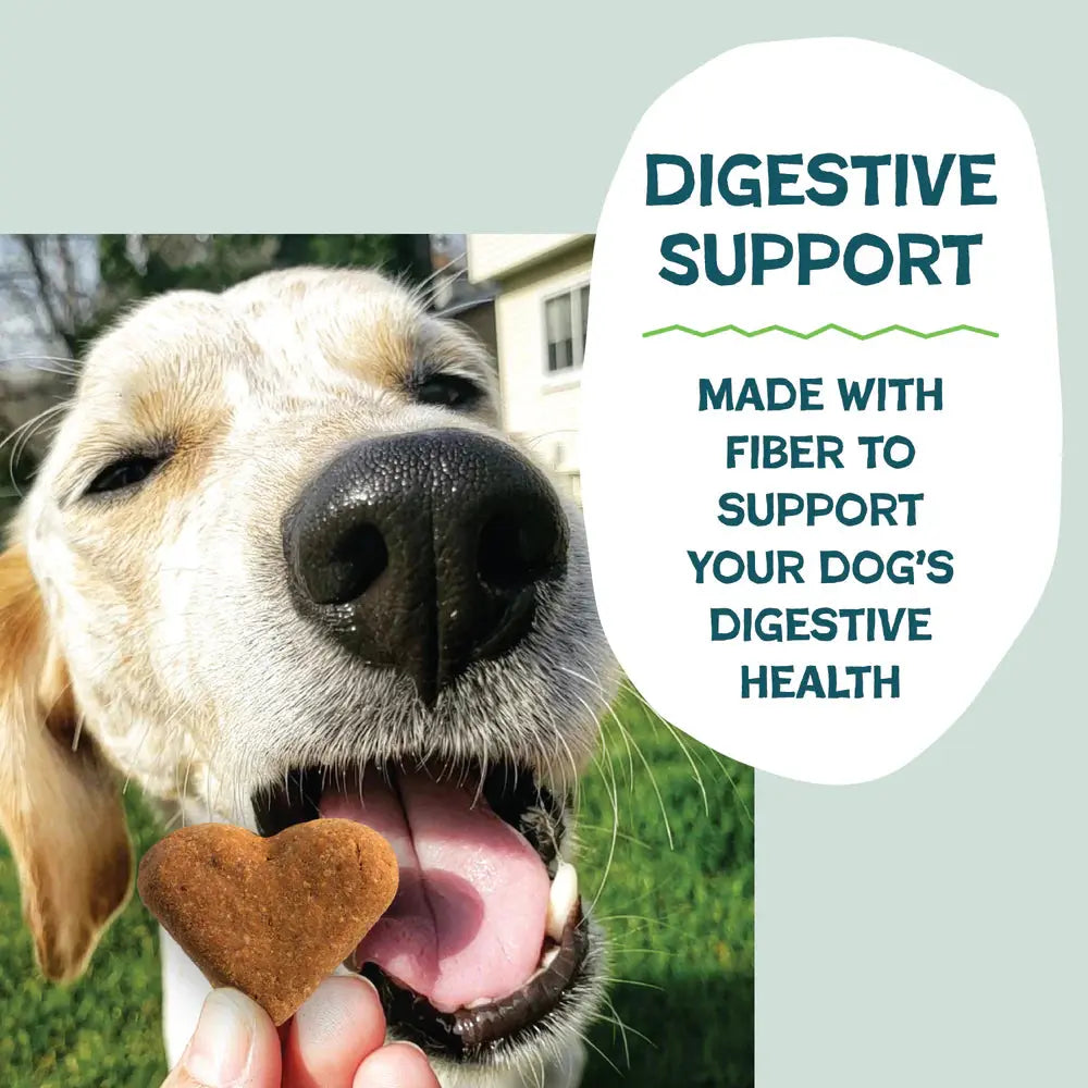 A happy dog with its mouth open is about to eat a heart-shaped treat. Text reads: Shameless Pets Crunchy Bites Snack Mix Crunchy Dog Treats—made with fiber & upcycled ingredients for your dogs digestive health.