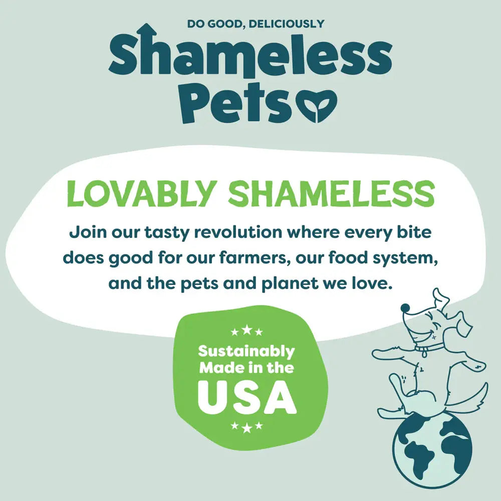 Shameless Pets Crunchy Bites Snack Mix Crunchy Dog Treats 10oz Shameless Pets