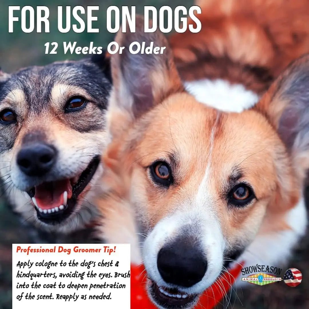 Two dogs, one brown and gray and the other tan and white, stand together outdoors. The image text suggests using Showseason Apricot Chamomile Pet Cologne by Showseason during grooming for dogs 12 weeks or older.