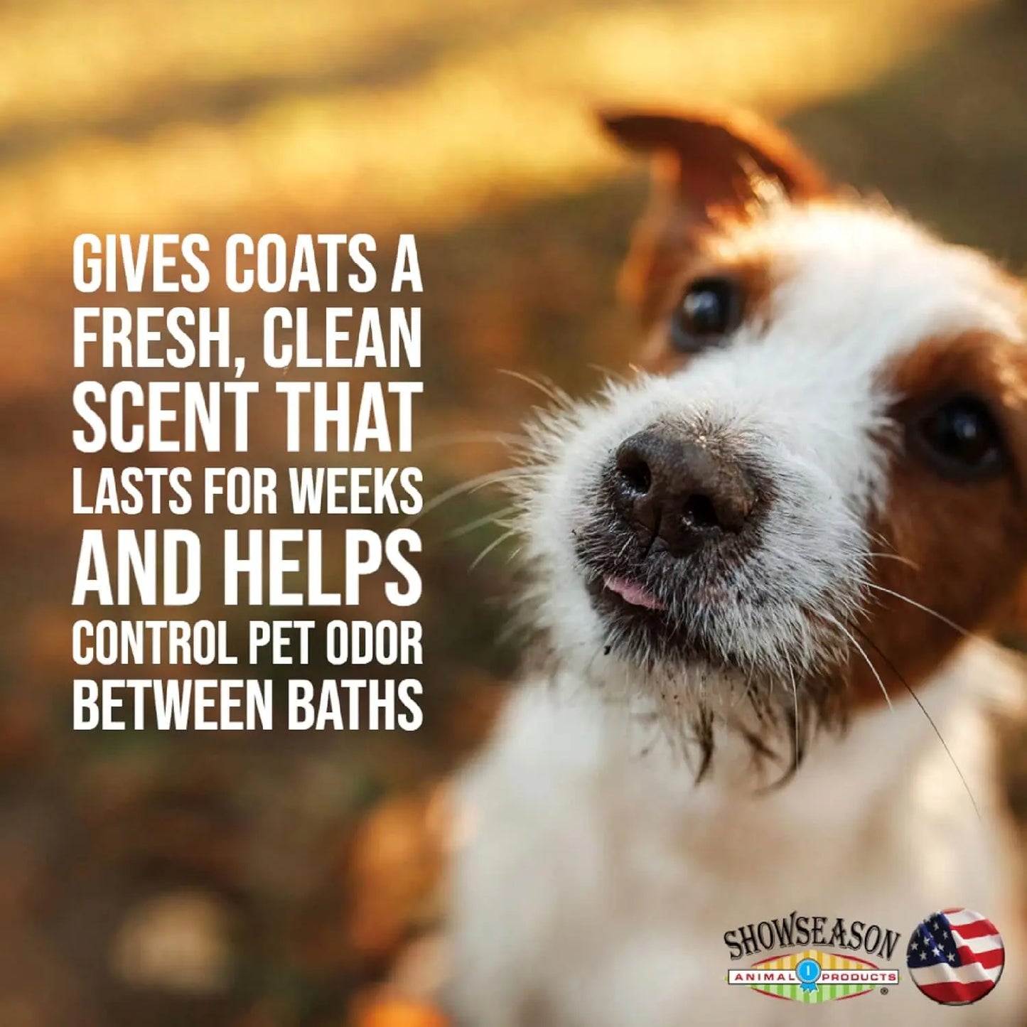 A close-up of a dog outdoors with text: Showseason Apricot Chamomile Pet Cologne keeps coats smelling fresh and clean for weeks, helping control pet odor between grooming sessions. Showseason logo in the corner.