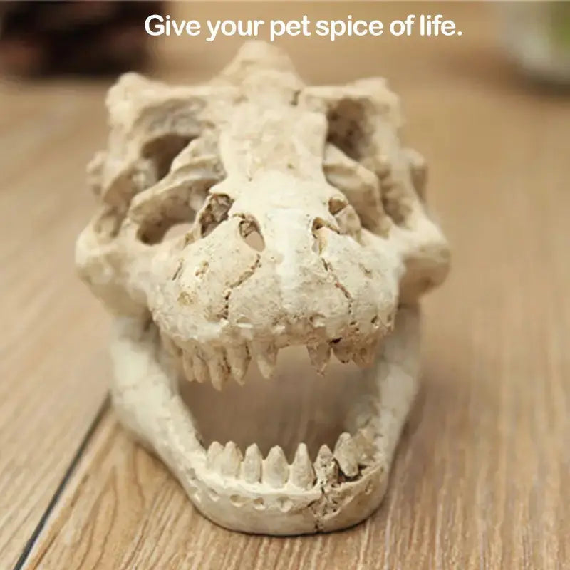 Talis-us Crocodile Skull Resin Ant Farm Decor Talis Us