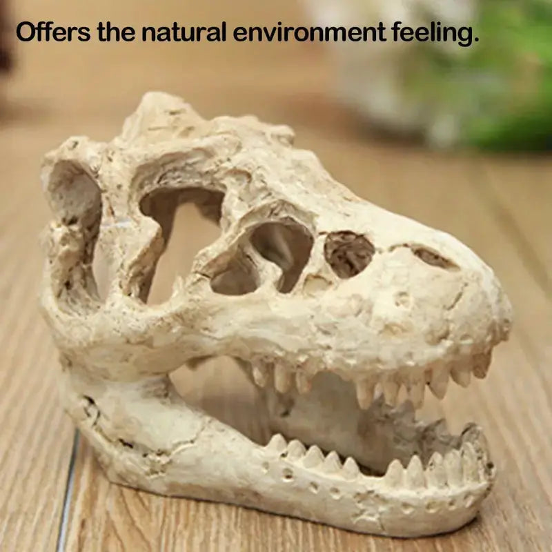 Talis-us Crocodile Skull Resin Ant Farm Decor Talis Us