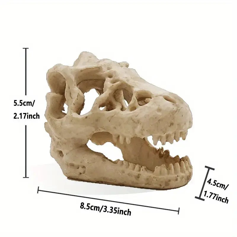 Talis-us Crocodile Skull Resin Ant Farm Decor Talis Us