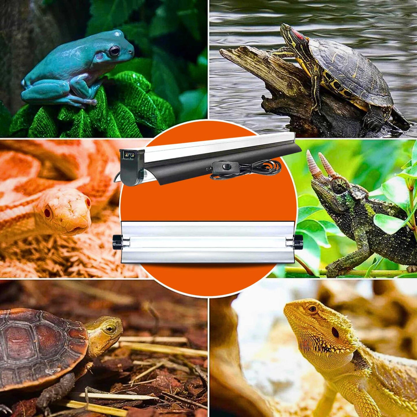 Talis-us Reptile Light Fixture with 10.0 UVB T5 HO Reptile Terrarium Lamp for Bearded Dragon Lizards and Tortoises Talis Us