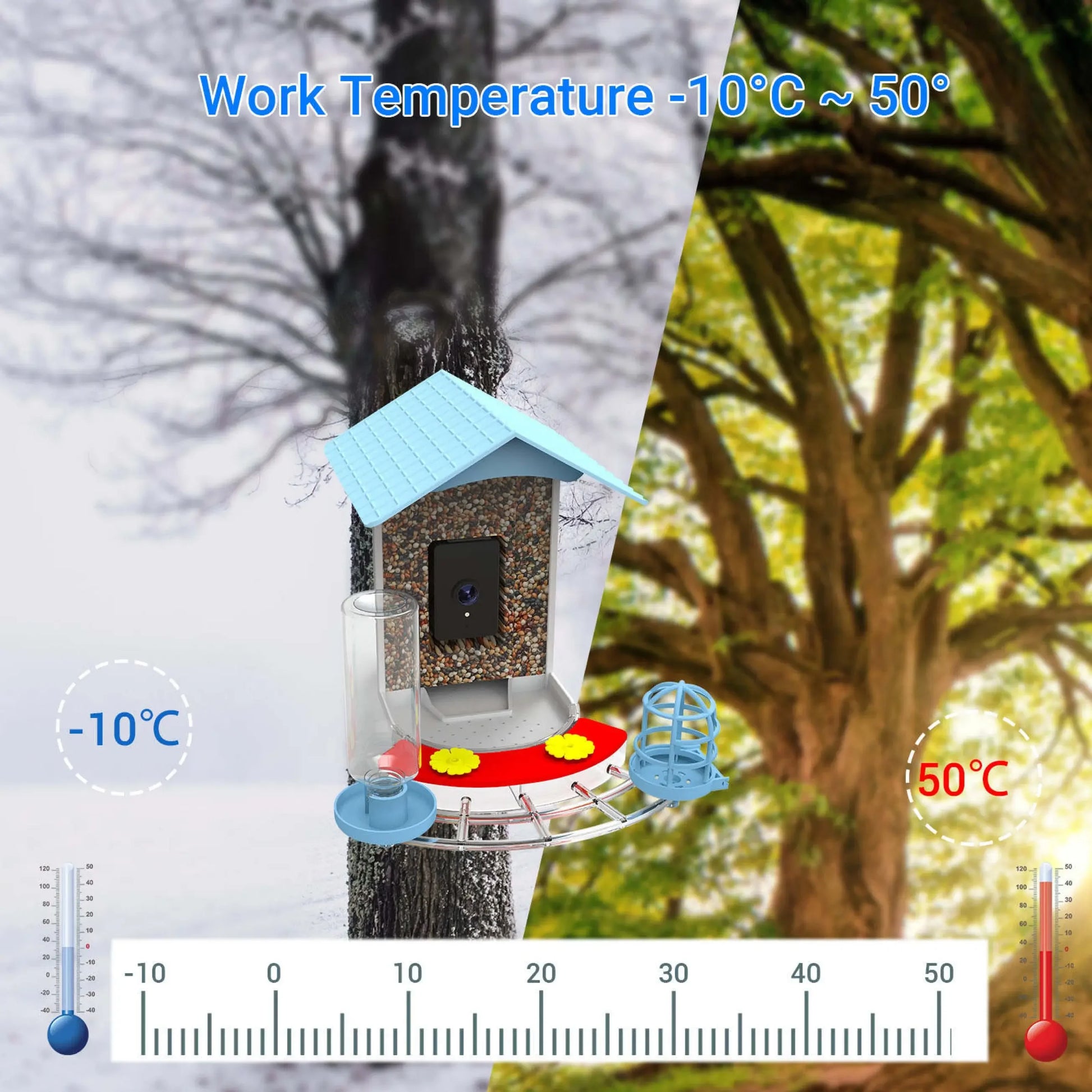 Talis-us Smart Bird Feeder Auto Capture Birds Videos & Motion Detection Wireless Camera Talis Us