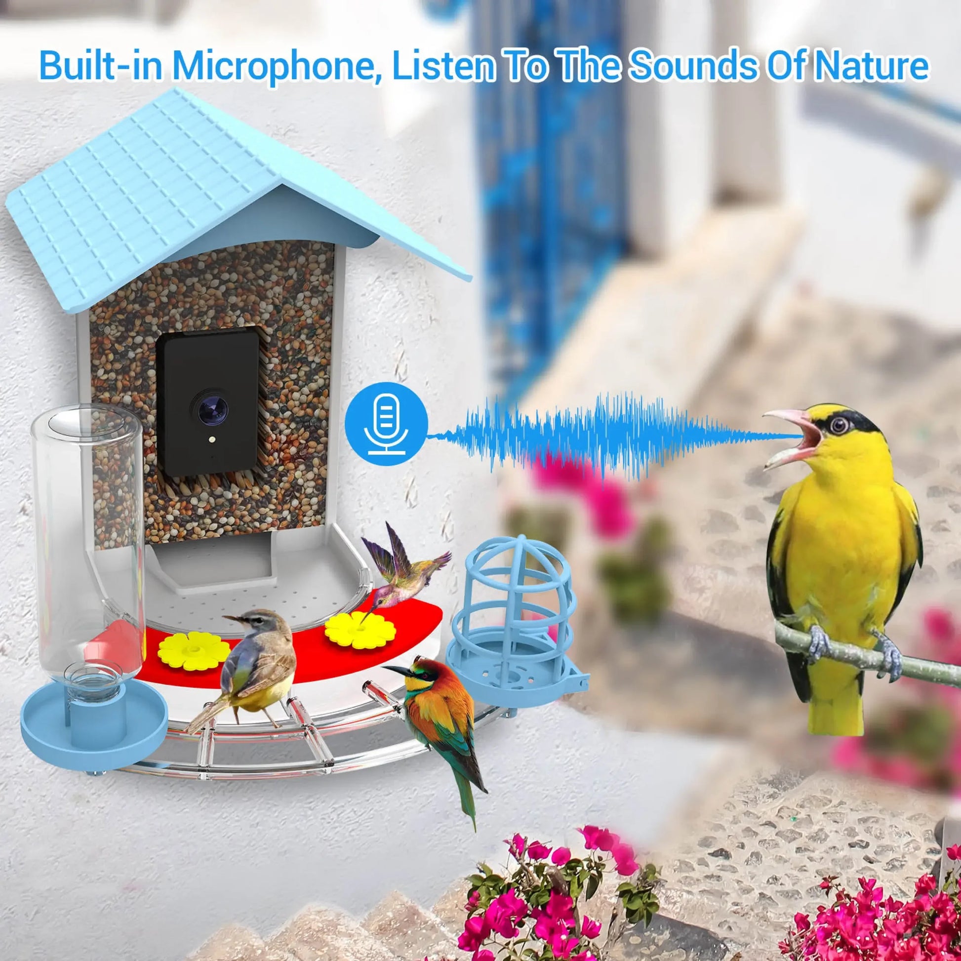 Talis-us Smart Bird Feeder Auto Capture Birds Videos & Motion Detection Wireless Camera Talis Us
