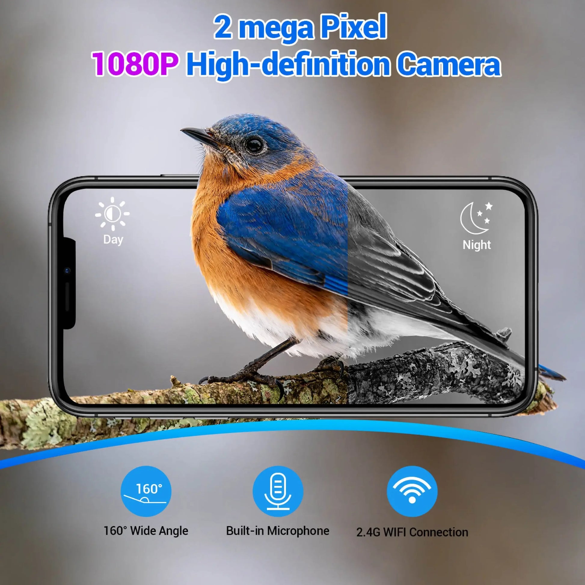 Talis-us Smart Bird Feeder Auto Capture Birds Videos & Motion Detection Wireless Camera Talis Us