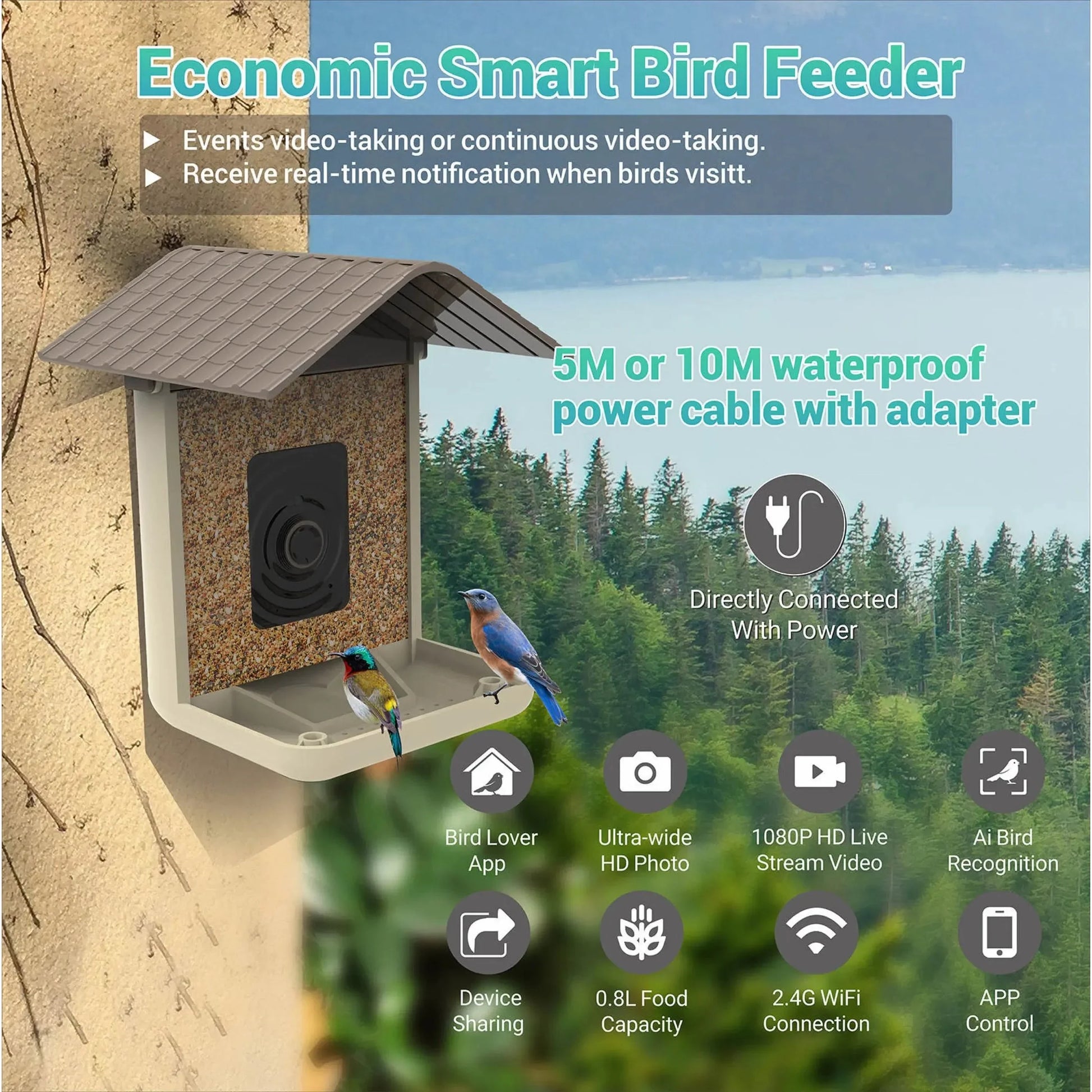 Talis-us Smart Bird Feeder Auto Capture Birds Videos & Motion Detection Wireless Camera Talis Us