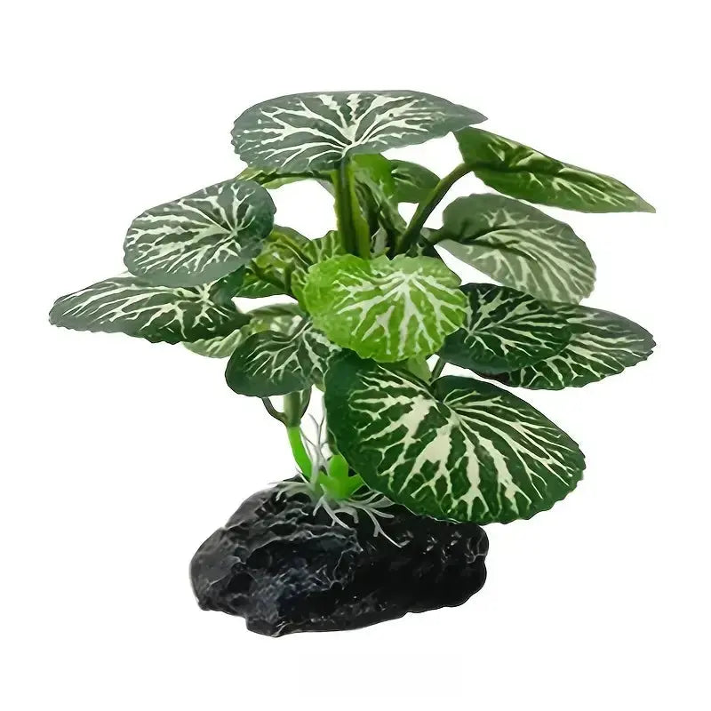 Talis-us ant farm kit decorations Talis Us