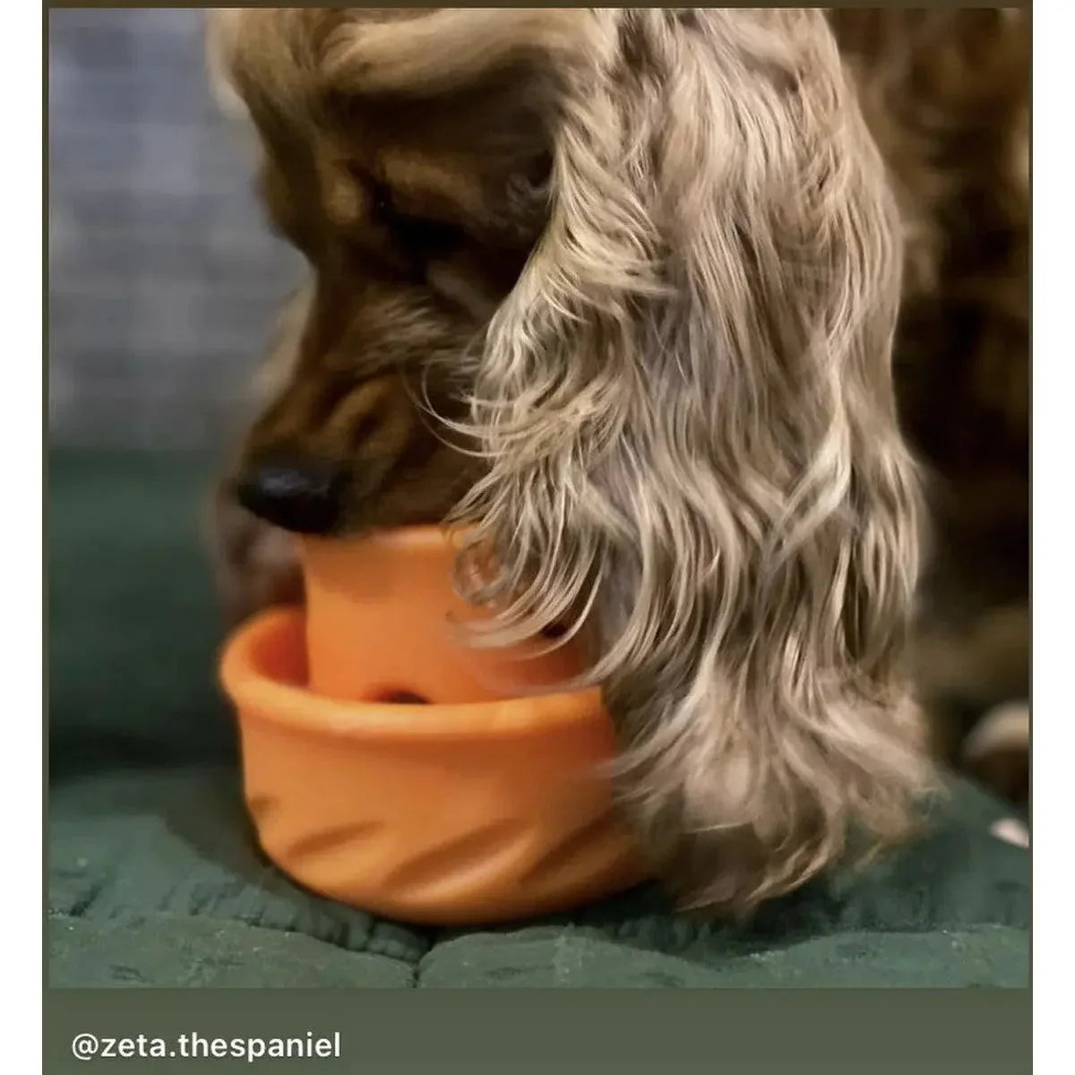 Totally Pooched Interactive Treat Puzzle Toy for Dog Totally Pooched