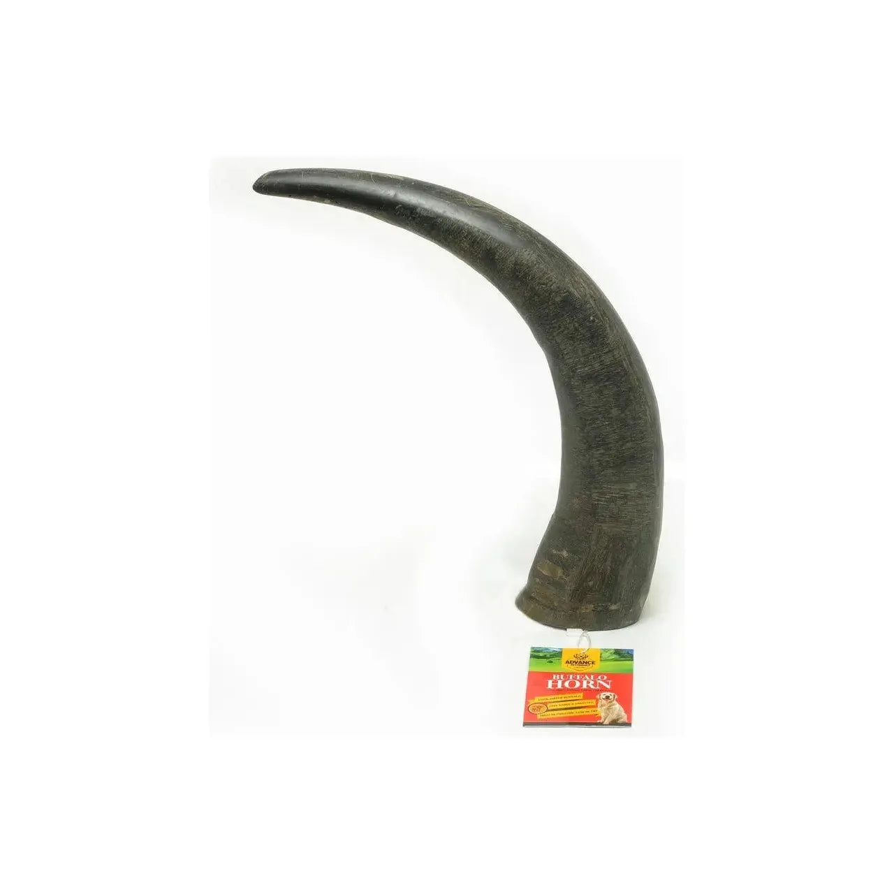 Water Buffalo Horn Chews for Aggressive Chewers Long Lasting and All Natural Advance Pet Products