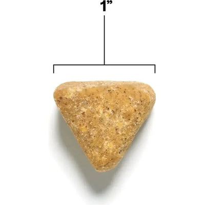 Wild Earth Immunity & Digestion Soft Chews Vegan Dog Supplements Wild Earth