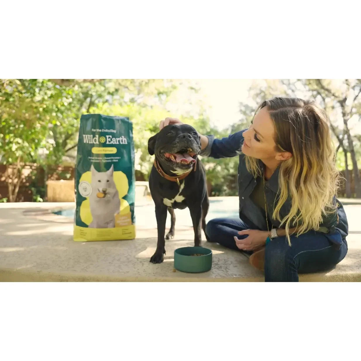 Wild Earth Maintenance Formula Vegan Dog Food Allergy Relief Golden Rotisserie Flavor Wild Earth