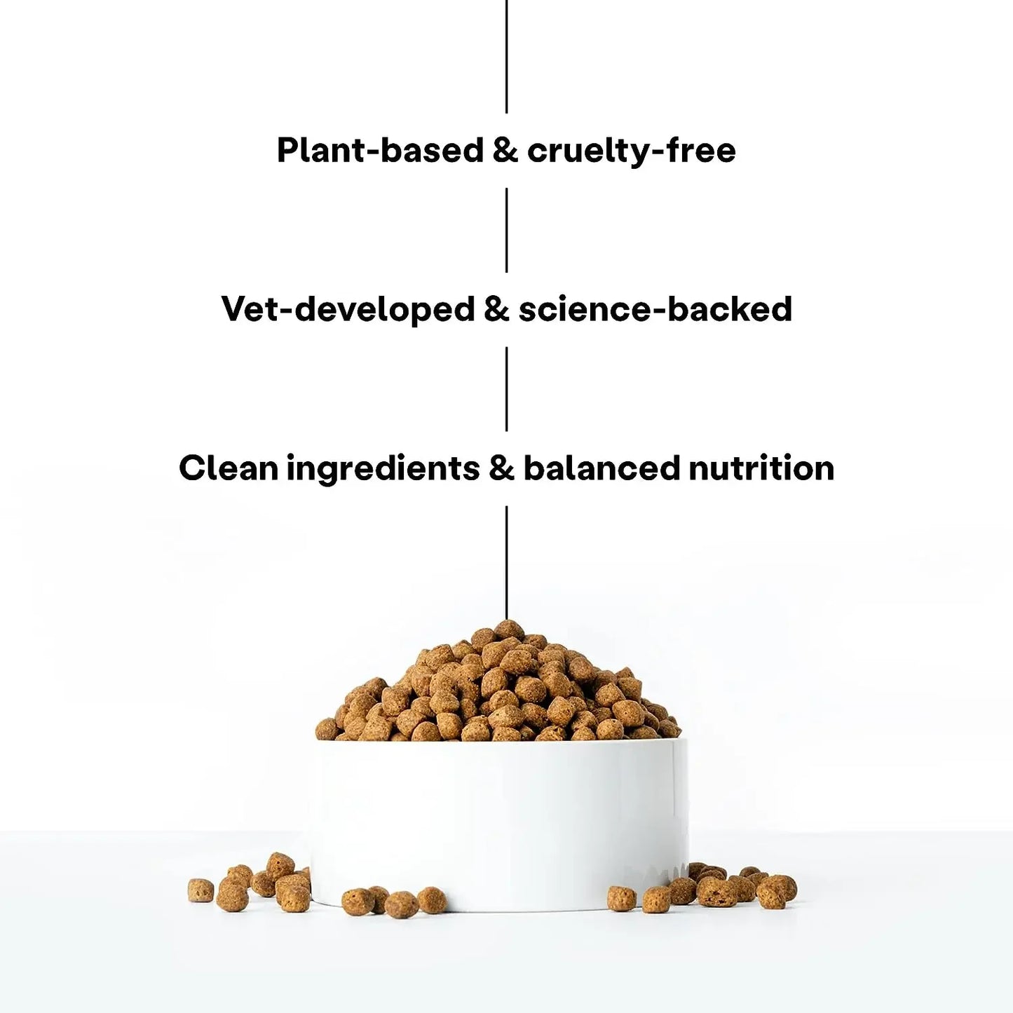 Wild Earth Maintenance Formula Vegan Dog Food Allergy Relief Golden Rotisserie Flavor Wild Earth