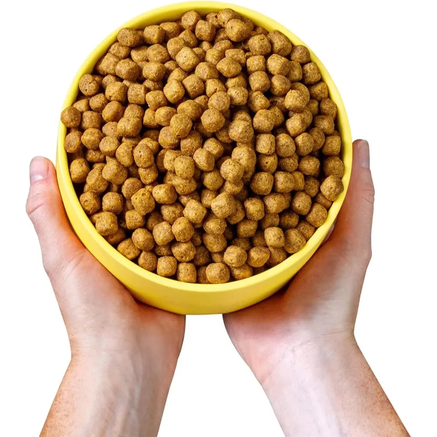 Wild Earth Maintenance Formula Vegan Dog Food Allergy Relief Golden Rotisserie Flavor Wild Earth