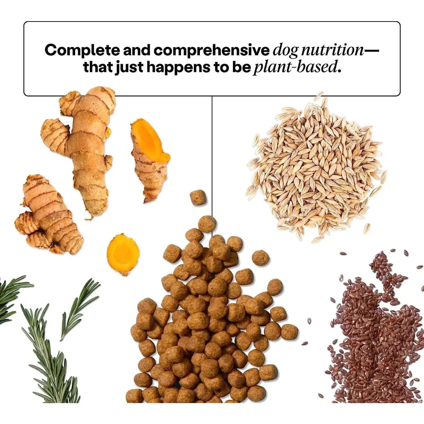 Wild Earth Maintenance Formula Vegan Dog Food Allergy Relief Golden Rotisserie Flavor Wild Earth