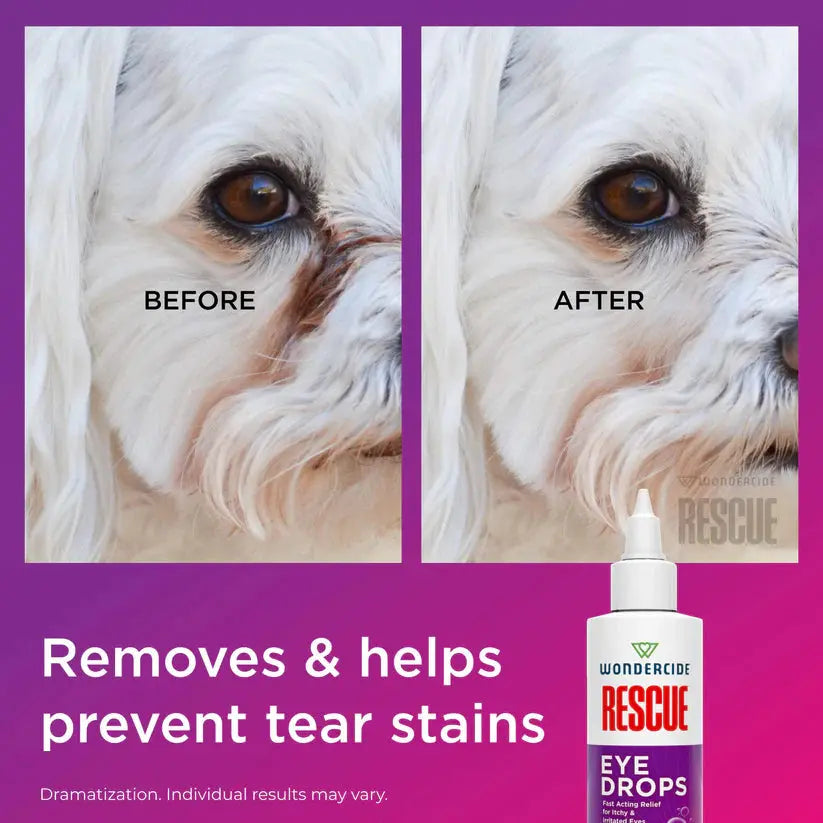 Wondercide Rescue Eye Drops for Dogs & Cats 4oz Wondercide
