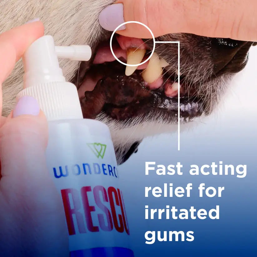 Wondercide Rescue Oral Spray for Dogs and Cats Freshens Breath 8.5oz Wondercide