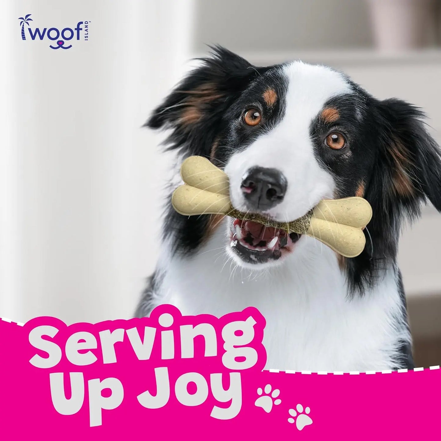 A happy black, white, and brown dog holds a Woof Island Coconut and Mango Bones with Fish Skin All Natural chew. The image displays the Woof Island logo and the slogan “Serving Up Joy” in bold pink and white letters with paw prints.