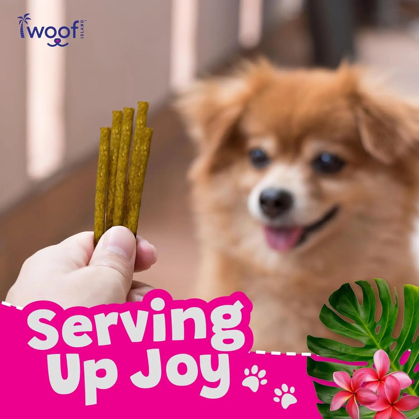 A hand holds several Woof Island Smoked Kalua Pork Rolls Rawhide Free Dog Chews in front of a joyful, fluffy brown dog. Serving Up Joy appears in bold pink letters with a floral accent in the corner.
