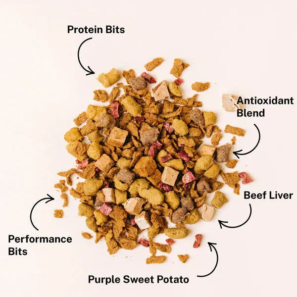 Yummers Salmon & Lamb Recipe with Freeze Dried Proteins Dog Food Yummers