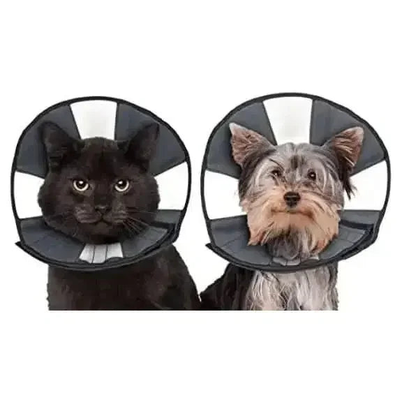 Replaced Image