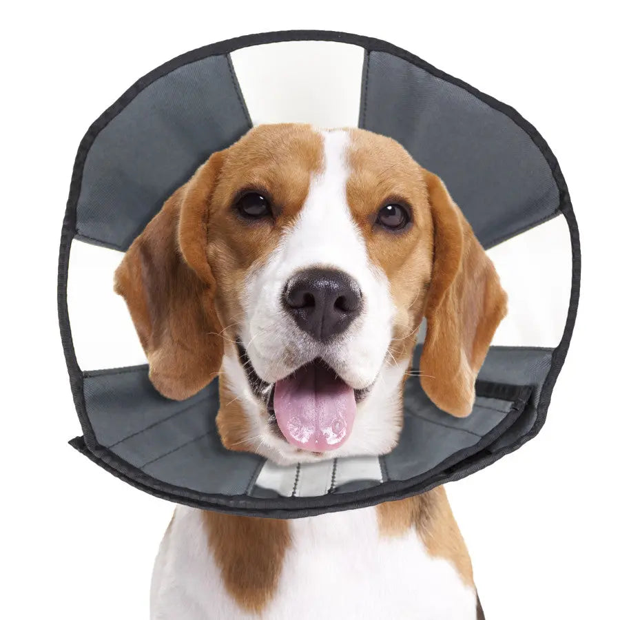 ZenPet Zen Cone Soft Recovery Collar CS Tech