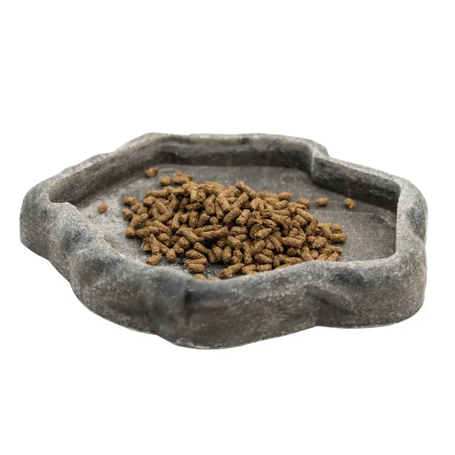 Zoo Med Adult High Fiber Bearded Dragon Food Zoo Med Laboratories