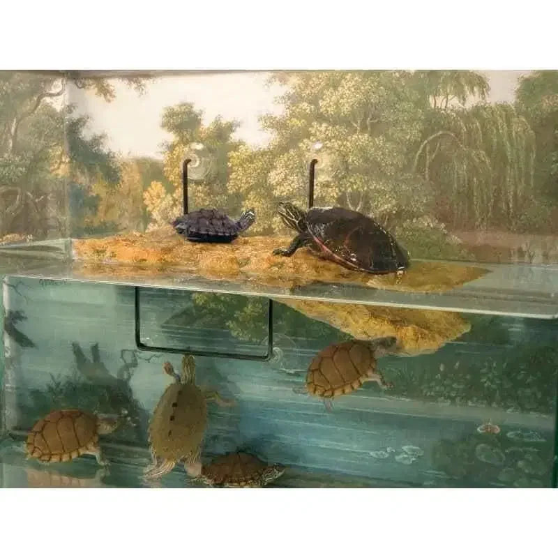 Replaced Image