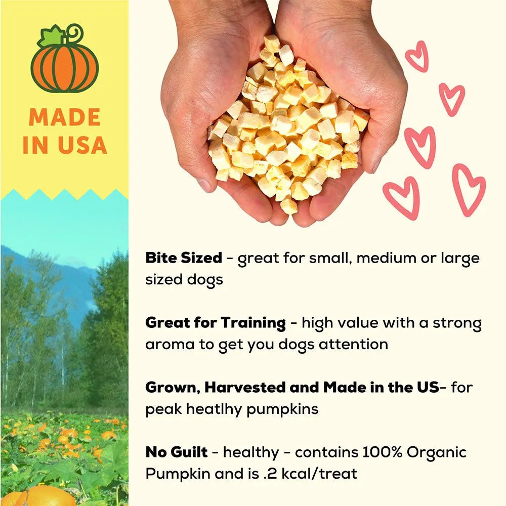 A Better Treat Freeze Dried Raw USDA Organic Pumpkin Dog and Cat Treats - Talis Us