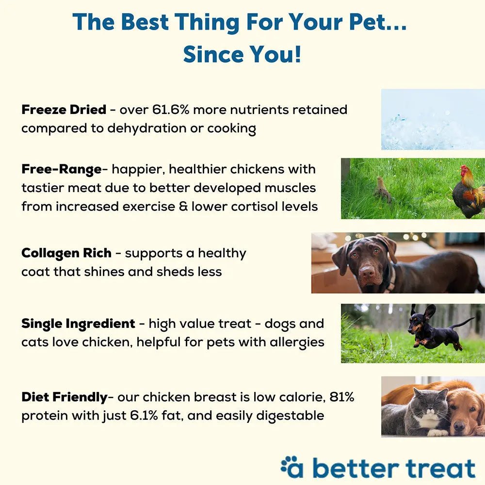 A Better Treat Just One Thing Freeze Dried Dog & Cat Treats 3 oz - Talis Us