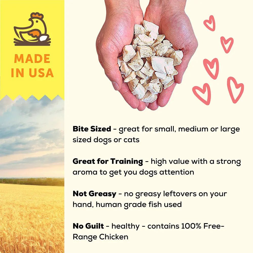 A Better Treat Just One Thing Freeze Dried Dog & Cat Treats 3 oz - Talis Us