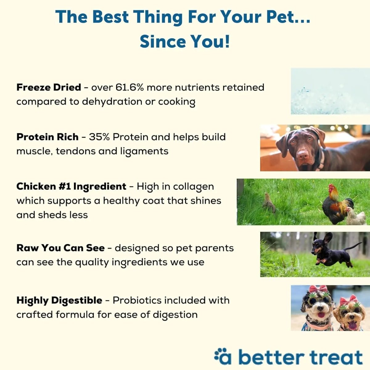 A Better Treat Raw You Can See Chicken Dog Freeze - Dried Food 4lb - Talis Us