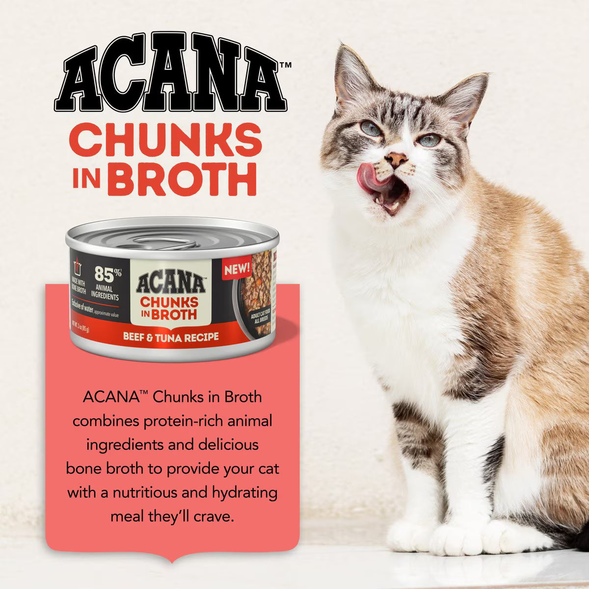 ACANA beef and tuna wet cat food in a bowl with a happy cat enjoying the meal
