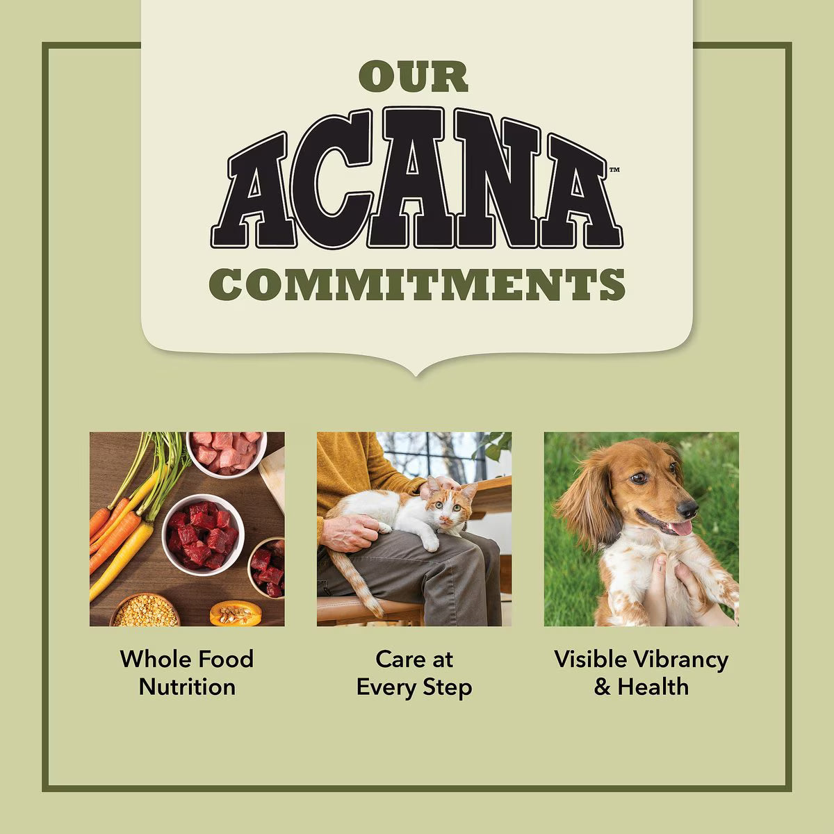 Acana beef and tuna wet cat food with whole food nutrition and visible health benefits