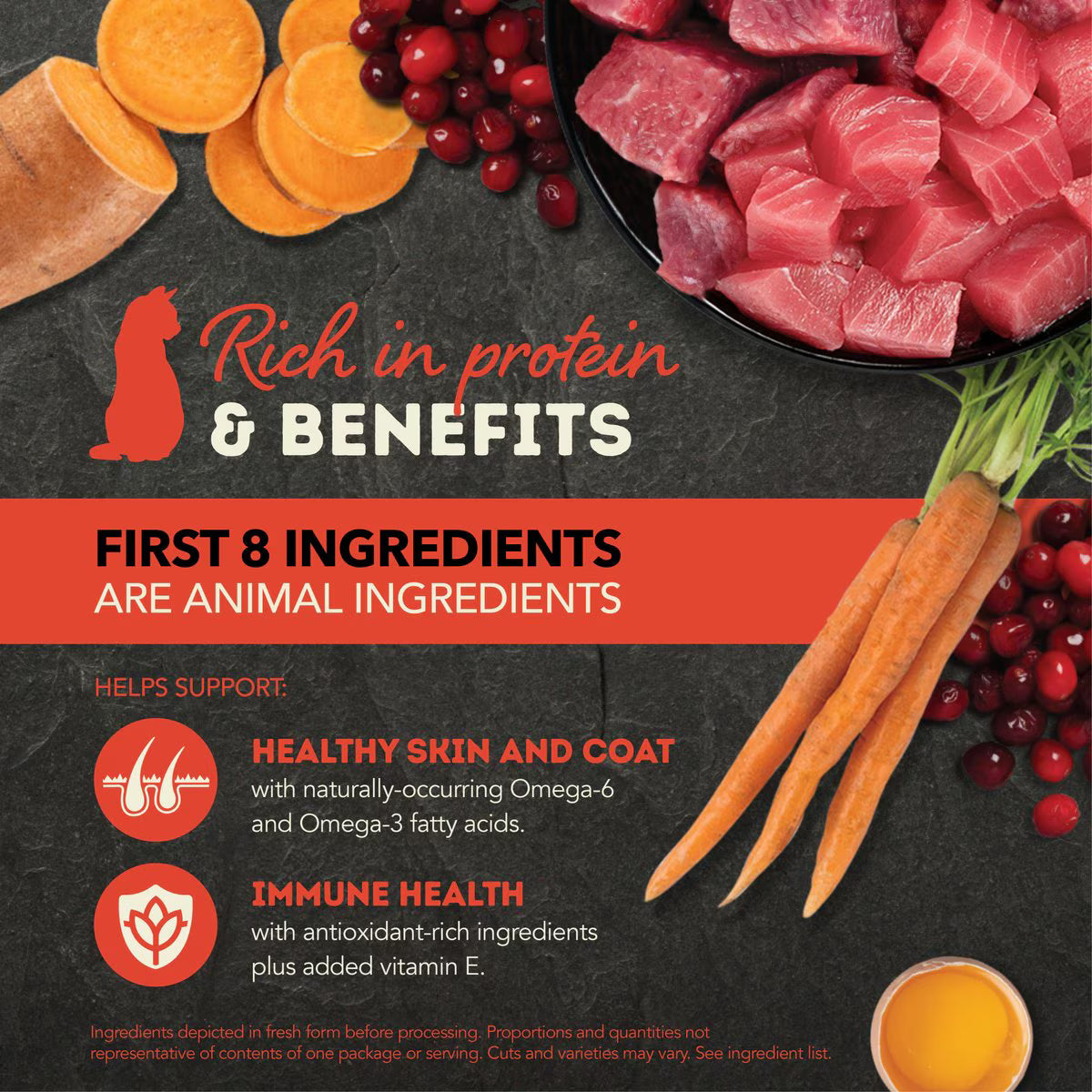ACANA beef and tuna wet cat food rich in protein with healthy ingredients for skin and coat support