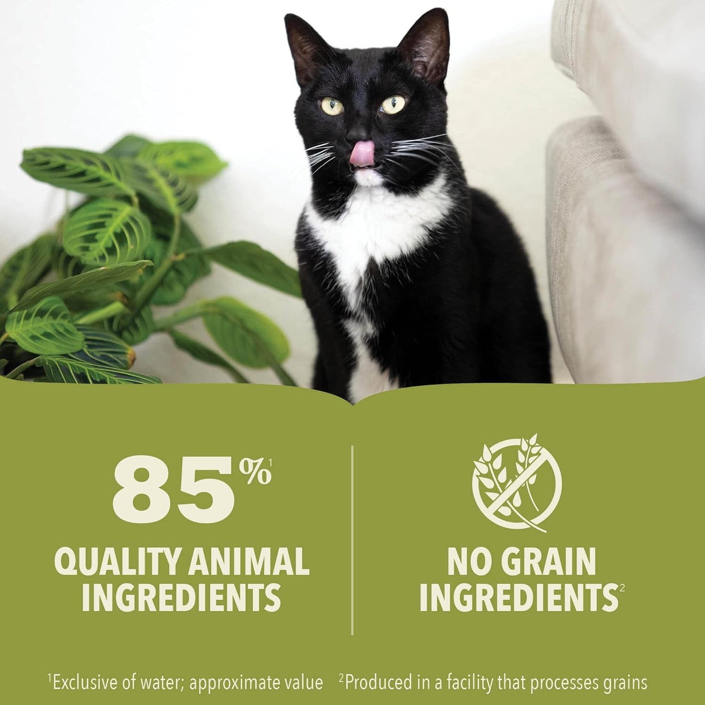 ACANA beef chicken tuna wet cat food featuring quality ingredients for a healthy diet