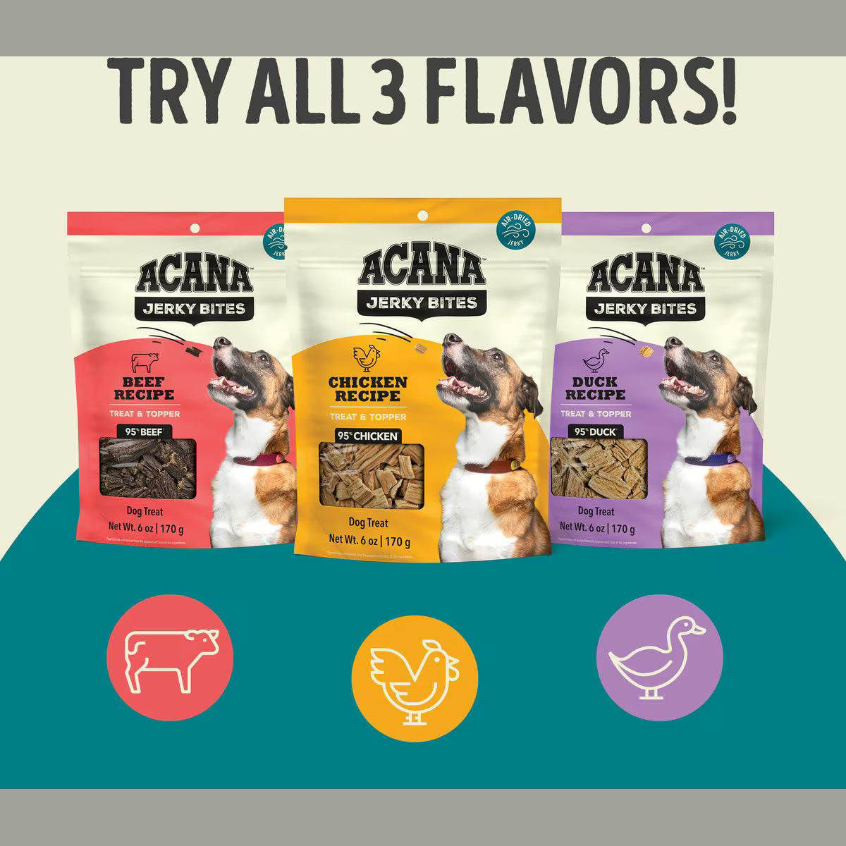 ACANA duck jerky dog treats alongside chicken and beef flavors in colorful packages