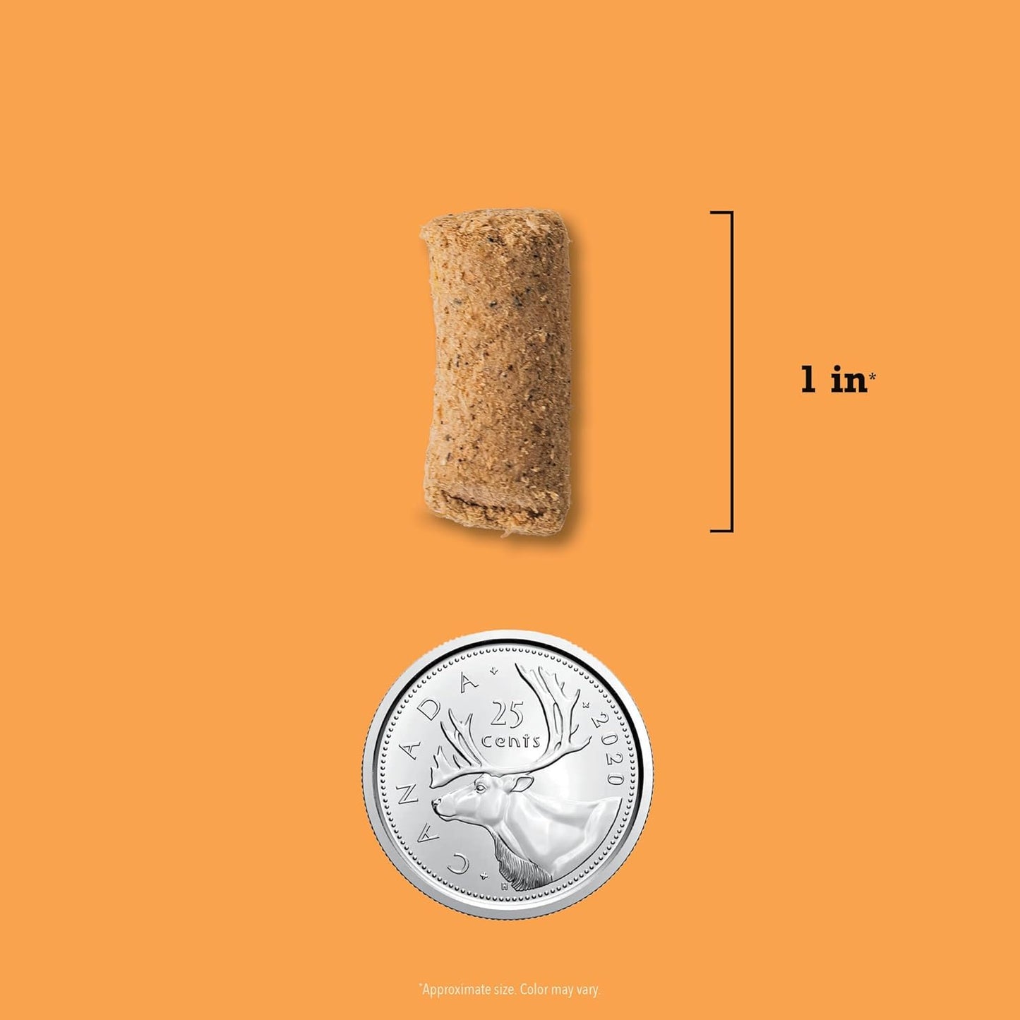 Acana Freeze-Dried Dog Food showing a single piece size comparison with a Canadian quarter
