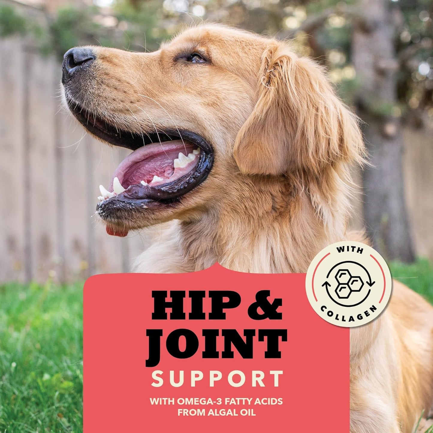 Acana hip and joint support dog treats with Omega-3 fatty acids and collagen for healthy dogs