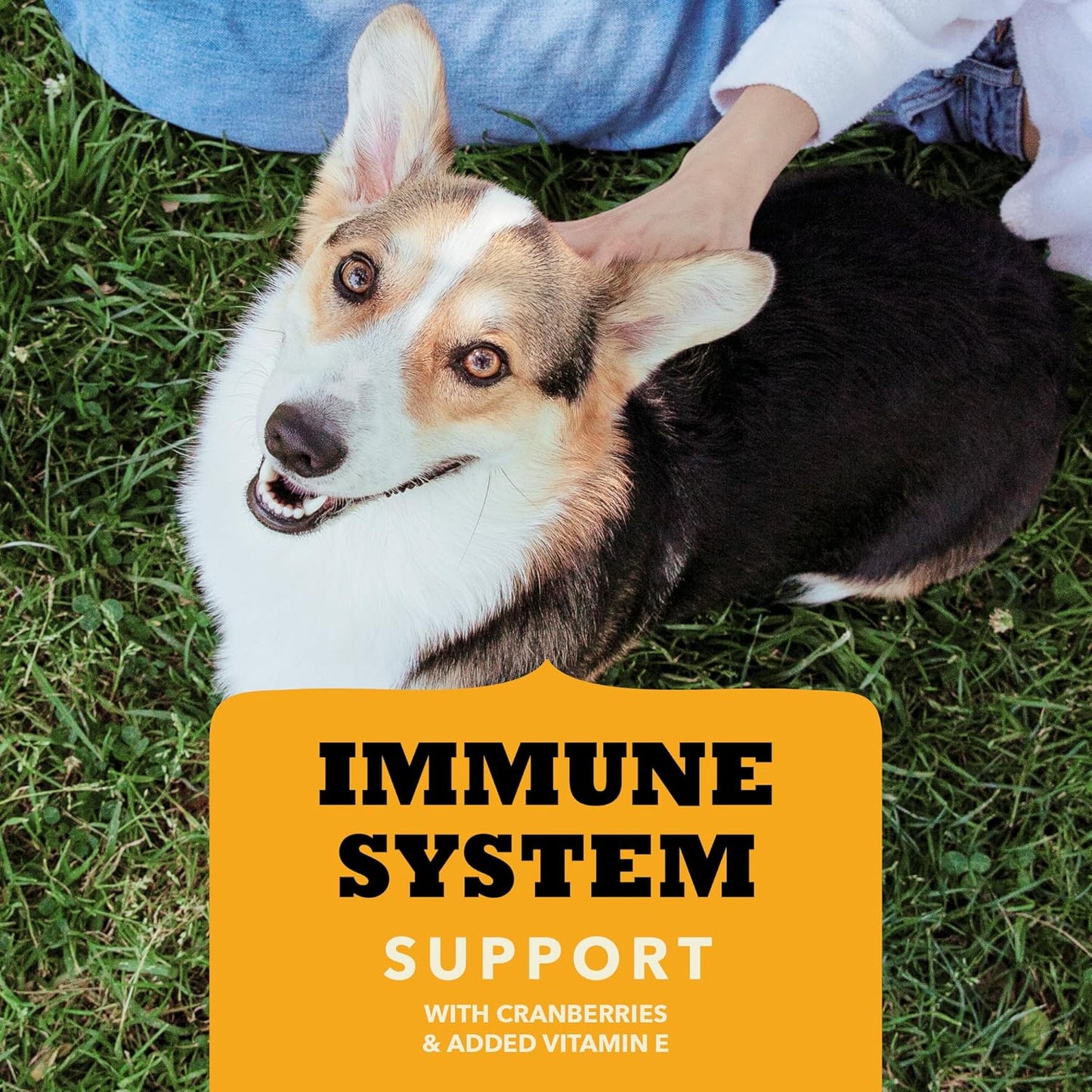 Acana immune support dog treats with cranberries and added vitamin E for healthy dogs