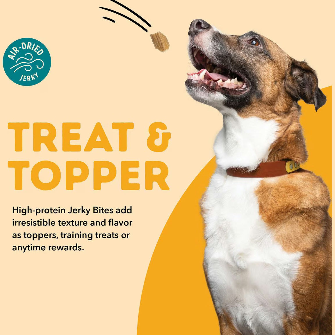 ACANA jerky bites poultry dog treats for training and rewards with high-protein flavor